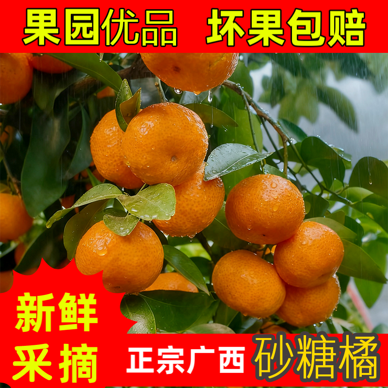 正宗广西砂糖橘拍五斤送三斤新鲜水果甜蜜橘薄皮多汁沙糖桔橘子