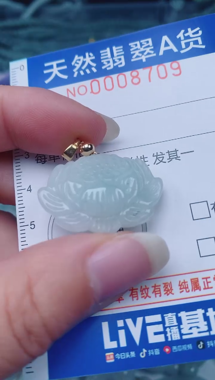 颈饰未镶嵌翡翠00008709