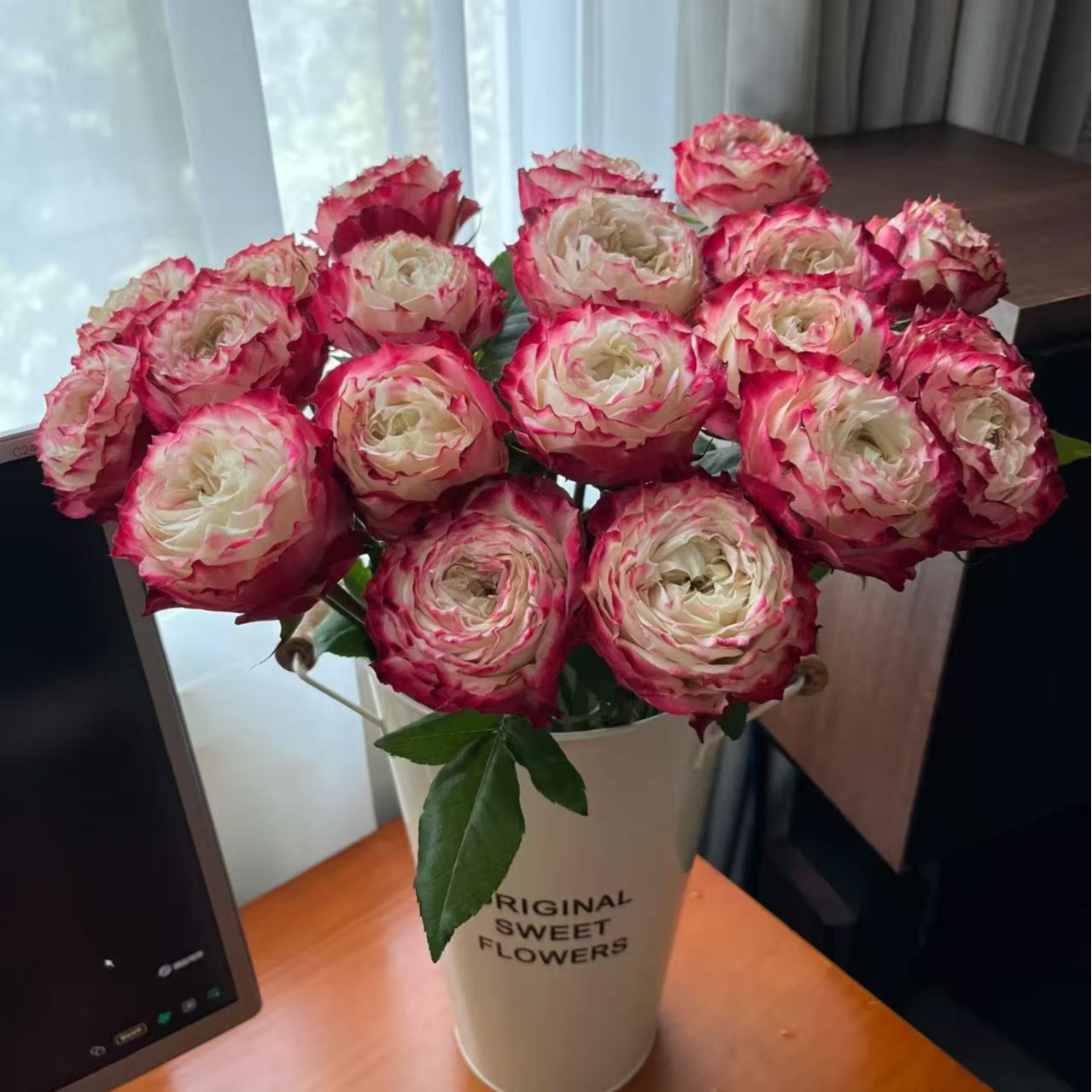 【北方玫小朵玫瑰&苹果杰克】北方玫瑰花期持久 两单顺丰包邮