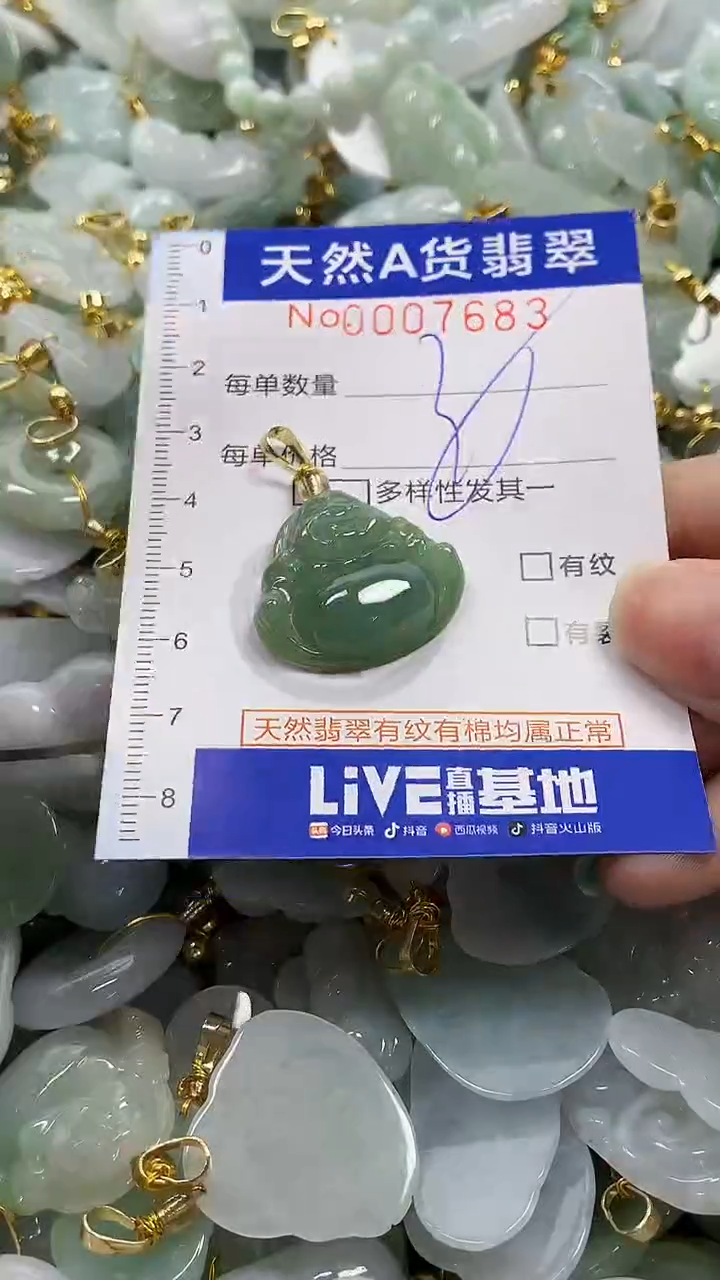 颈饰未镶嵌翡翠纯天然a货翡翠