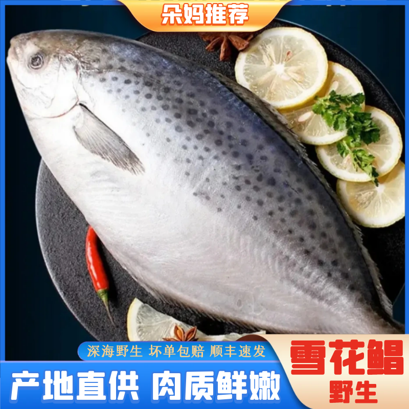 【朵妈推荐】雪花鲳鱼纯野生深海鱼新鲜海鲜直播水产250-300g/条7条