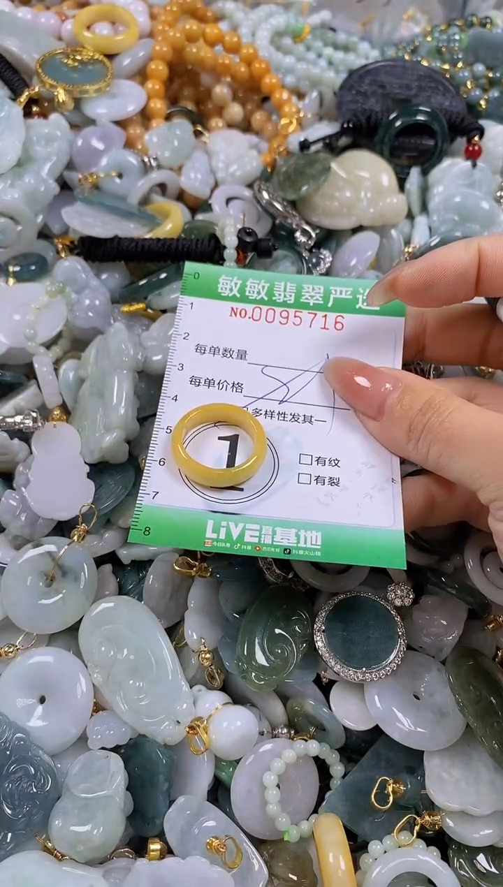 【闪购商品】翡翠颈饰未镶嵌闪购商品0095716多样性发其一