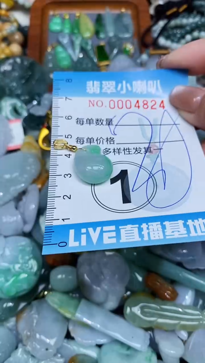 【闪购商品】翡翠颈饰未镶嵌闪购0004824