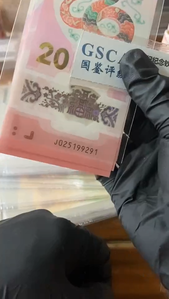 【闪购商品】蛇钞  标十 025199291