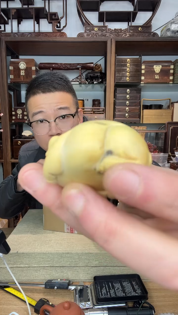 乌木类书架998小叶黄杨福猪手把件  瑕疵