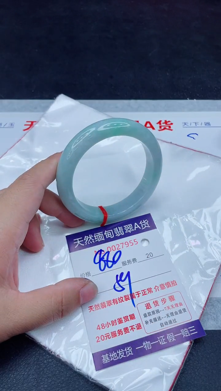 未镶嵌手镯翡翠880.00000