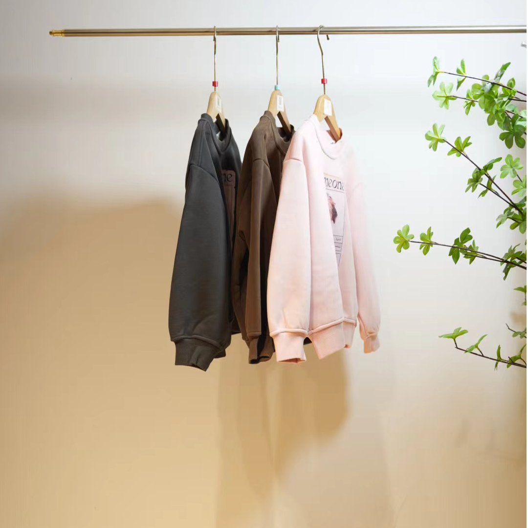 3-766-秋冬一款三色卡通动物印花儿童圆领加绒卫衣J