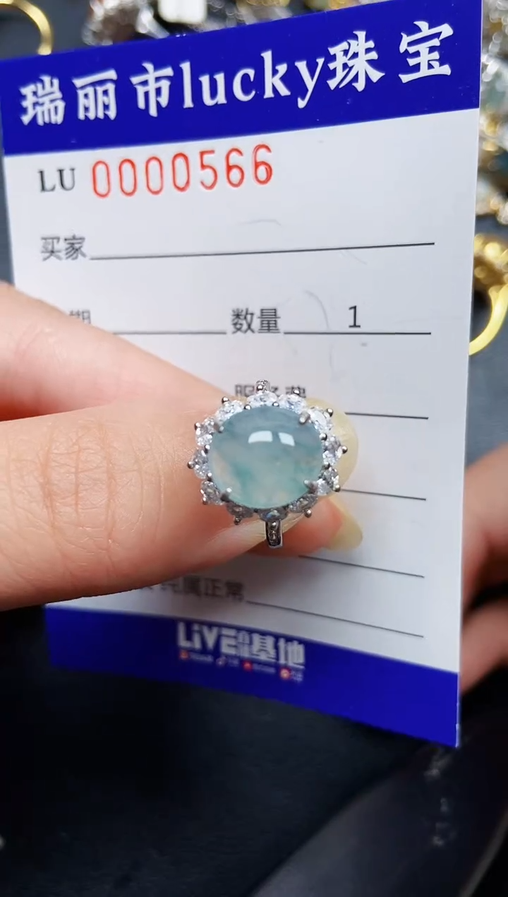 翡翠银S925镶嵌颈饰0566