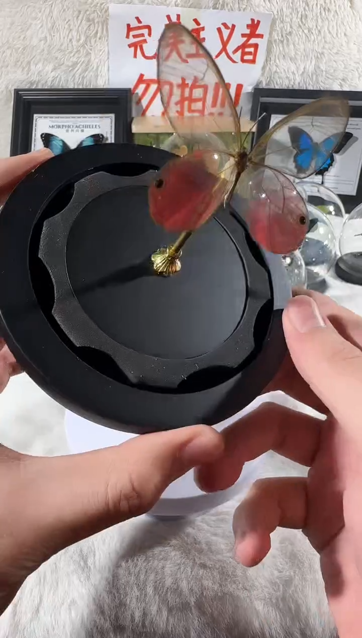 木玫瑰晶眼水晶球   