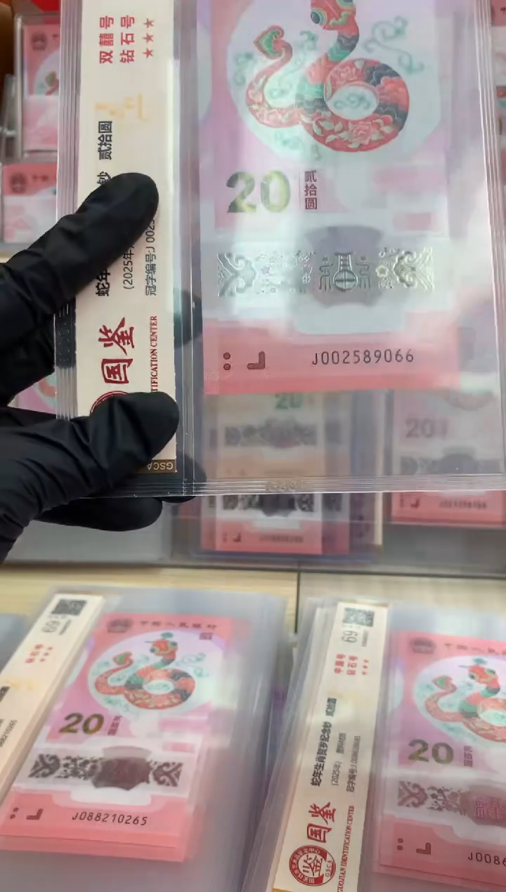 【闪购商品】塑料蛇钞 真钞【单张】9066