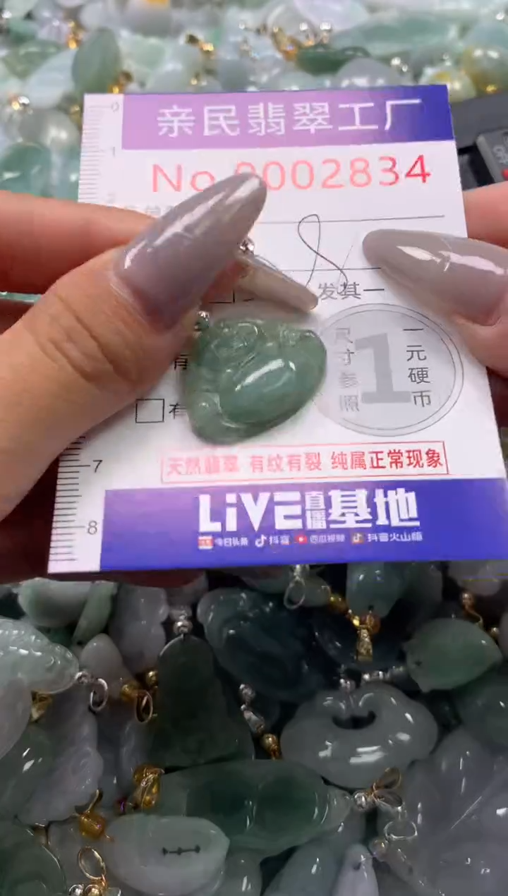 颈饰未镶嵌翡翠2834