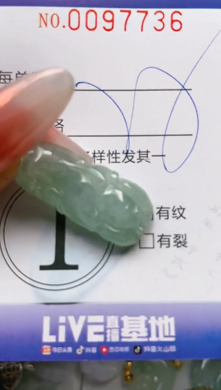 【闪购商品】翡翠颈饰未镶嵌闪购0097736