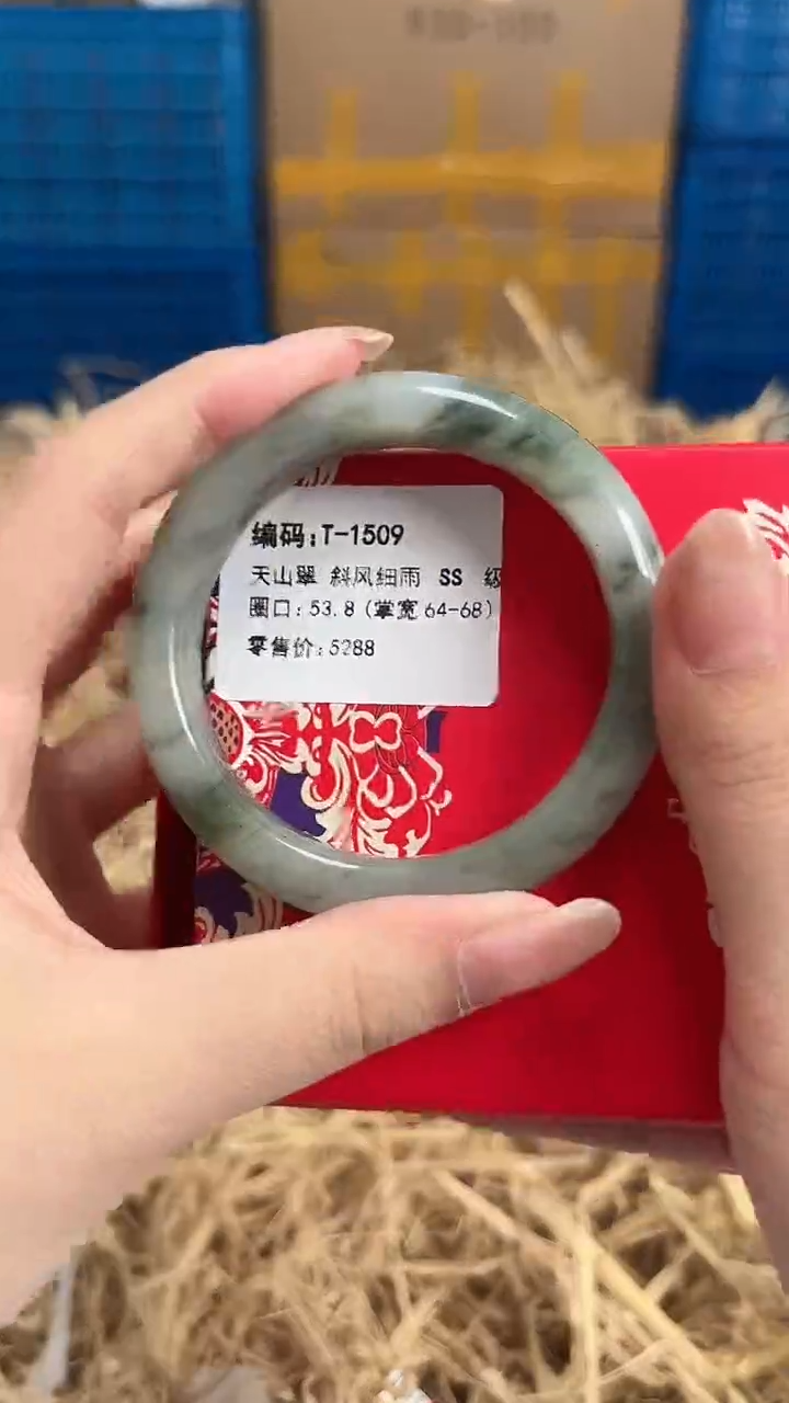 未镶嵌手镯石英质玉T-1509