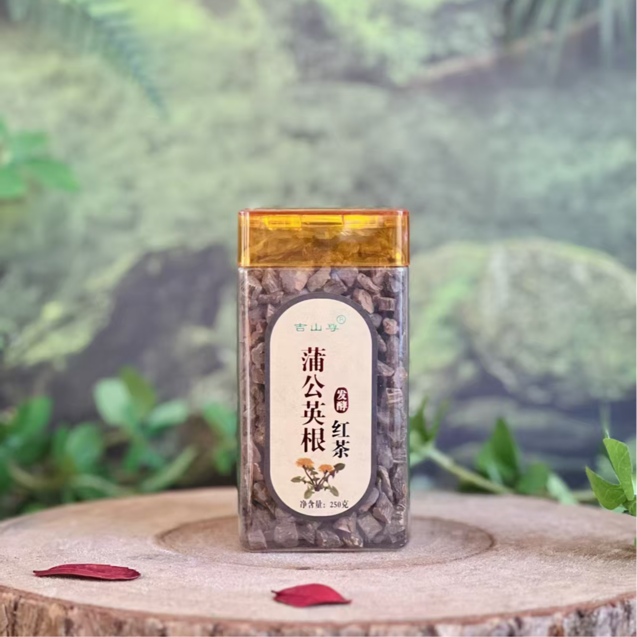 长白山纯蒲公英根发酵红茶天然东北婆婆丁根茶250g
