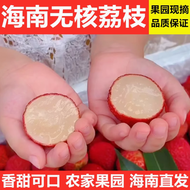 【爆款新品】海南新鲜现摘无核荔枝礼盒【顺丰次日达】荔枝同城送