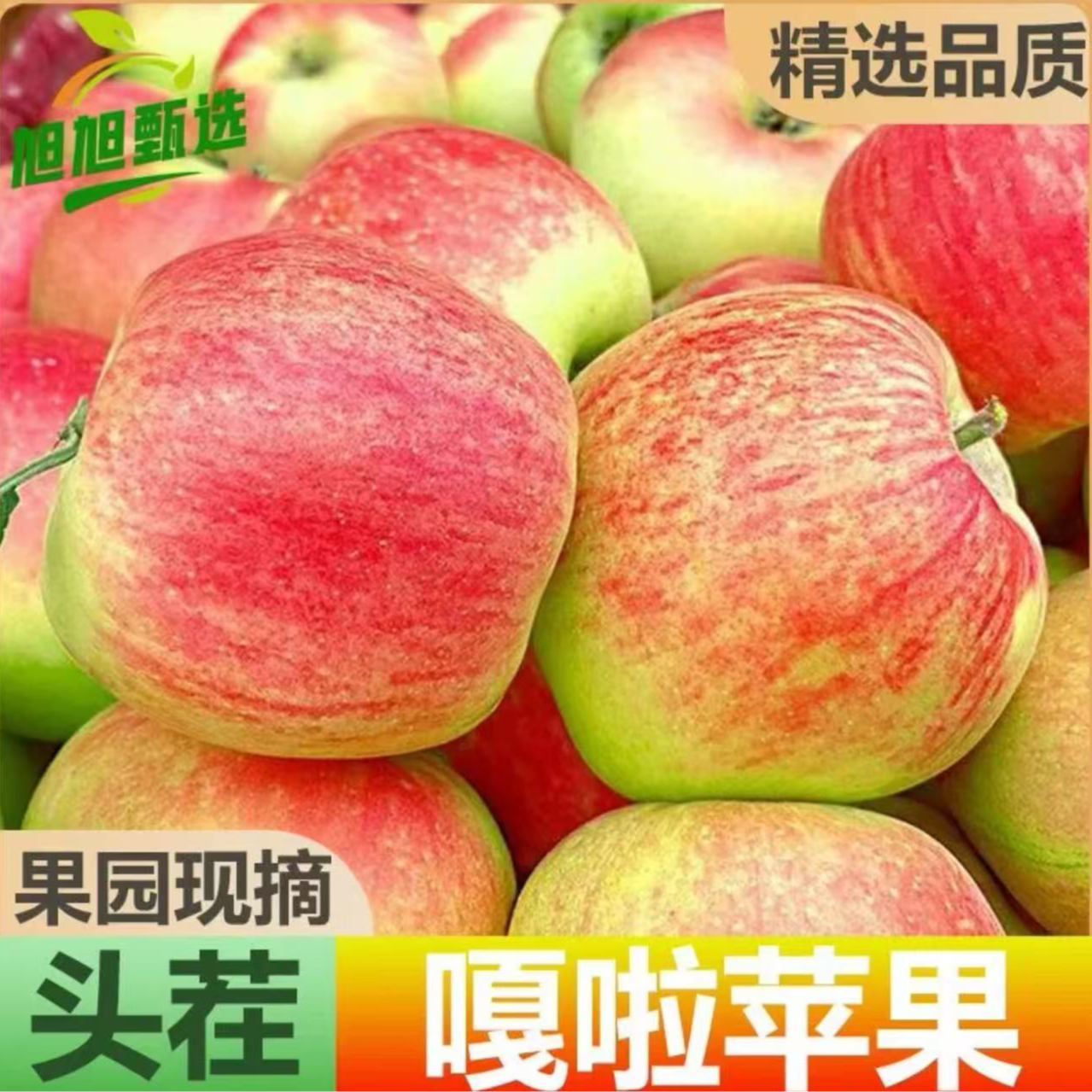 【新疆直发】新疆阿克苏嘎啦苹果新鲜水果当季现摘早熟红富士小苹果