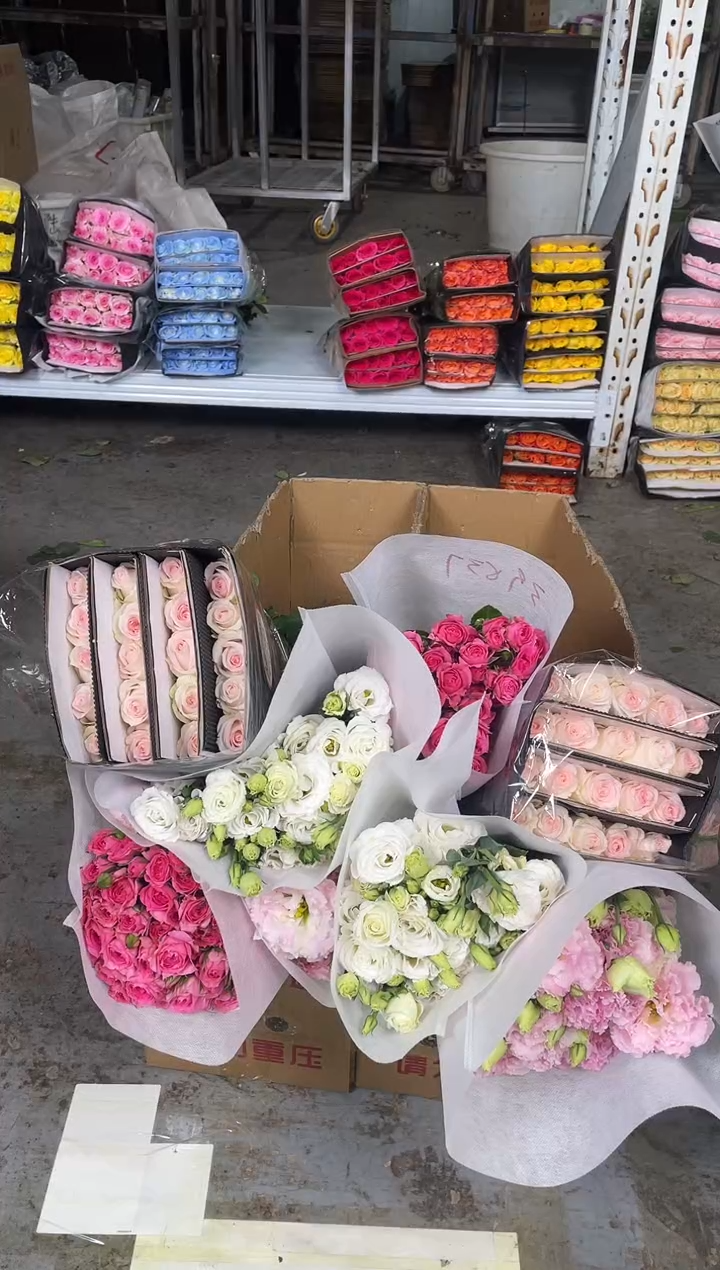 小白兔20枝+苏菲宝贝10枝+阳光粉400克+白色洋桔梗400克