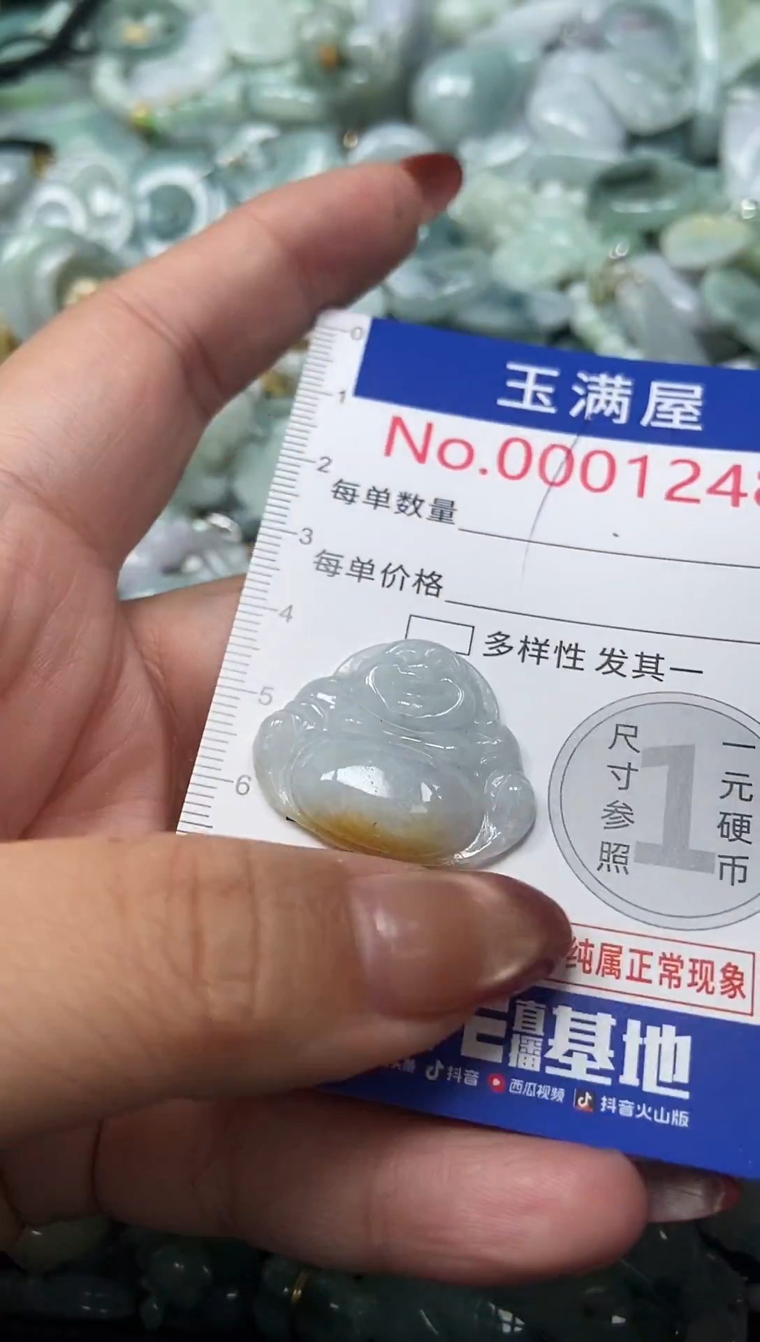 颈饰未镶嵌翡翠1248