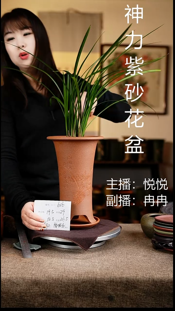紫砂花盆花卉工艺616+z