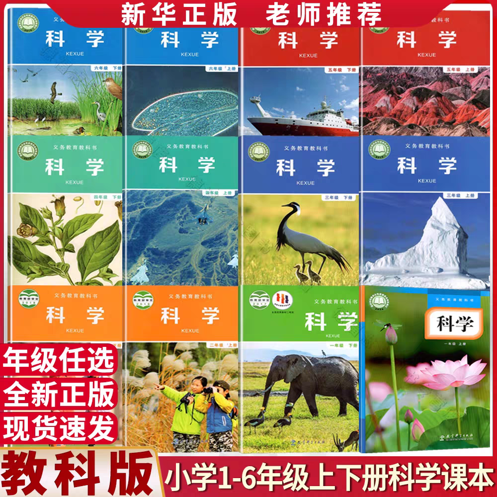 2024新 小学123456年级上册科学课本1~6年级教科书教科版单本可选
