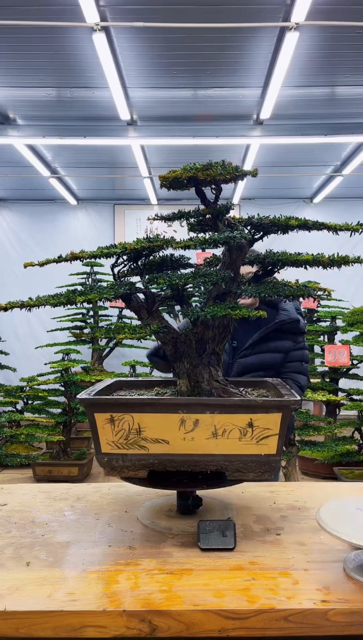 无花朵一物一拍·所见即所得