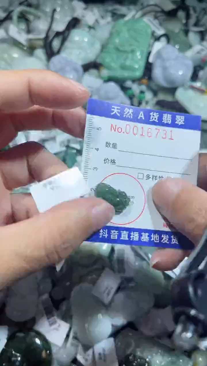 【闪购商品】翡翠颈饰未镶嵌00016732