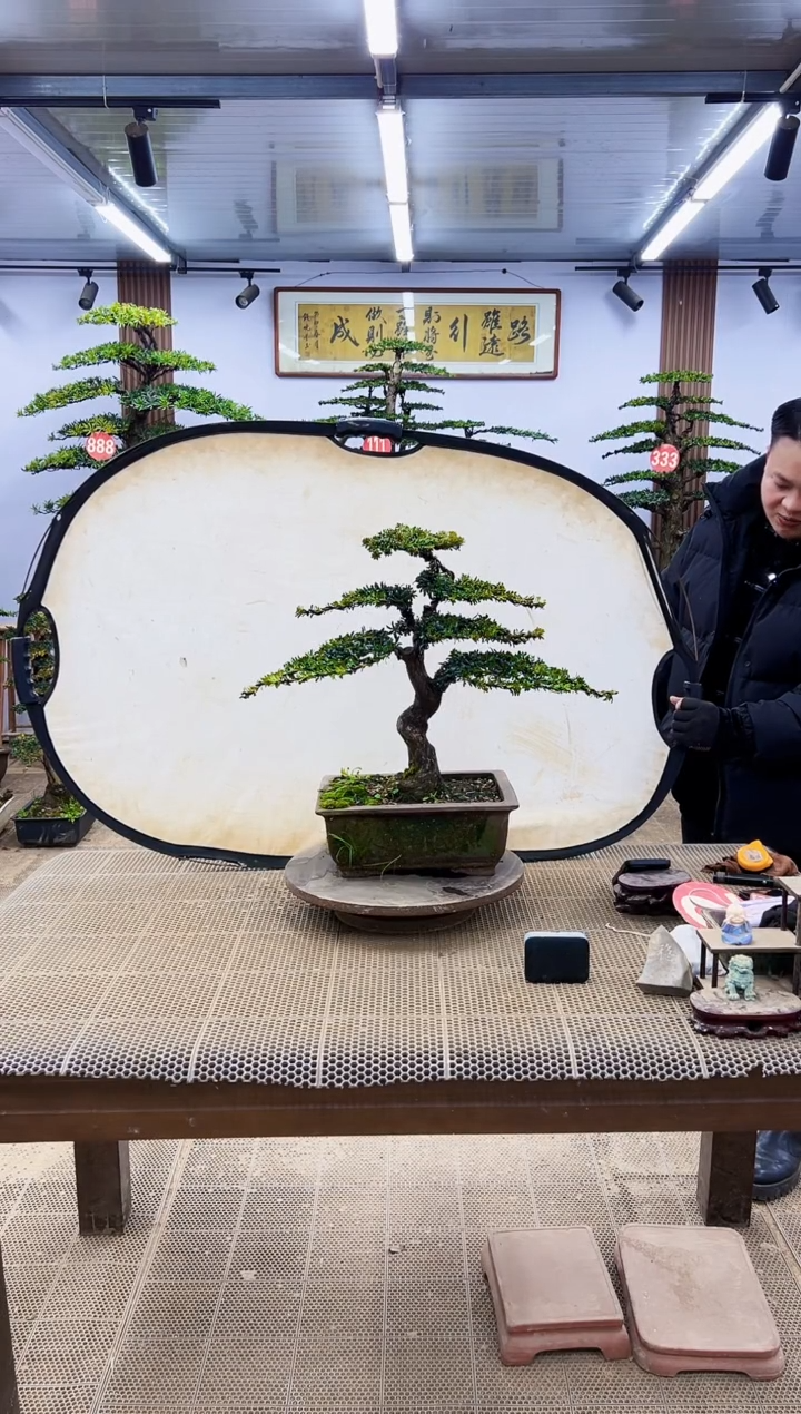 【闪购商品】000000000