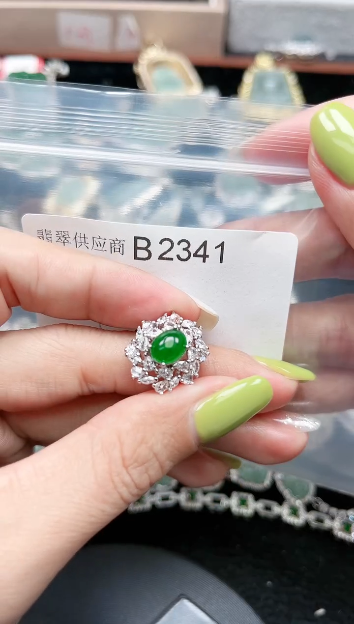 【闪购商品】翡翠颈饰未镶嵌2341赠皮绳