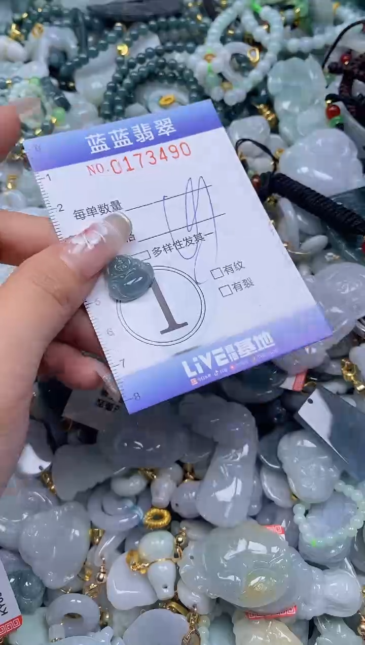 【闪购商品】翡翠颈饰未镶嵌闪购0173490