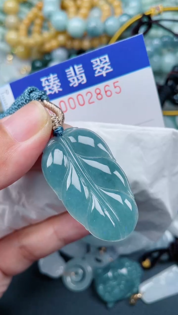 翡翠未镶嵌颈饰.0002865