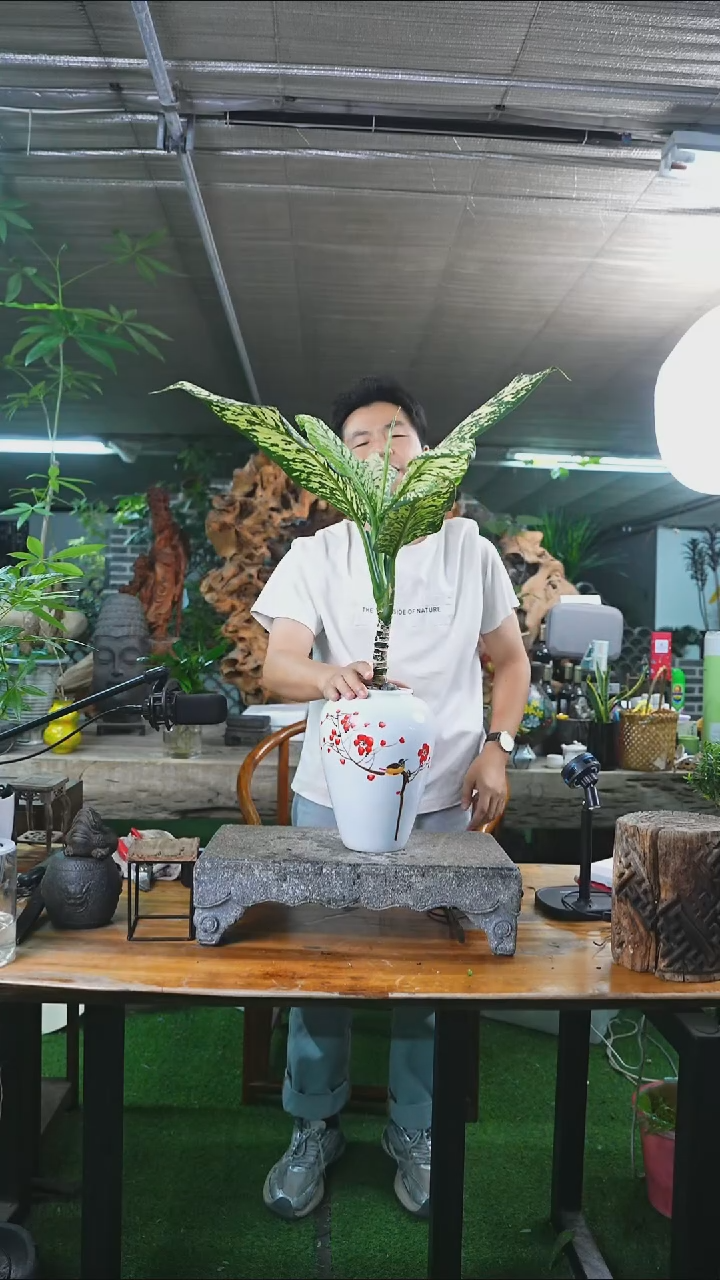 完全开放暴风雪519+