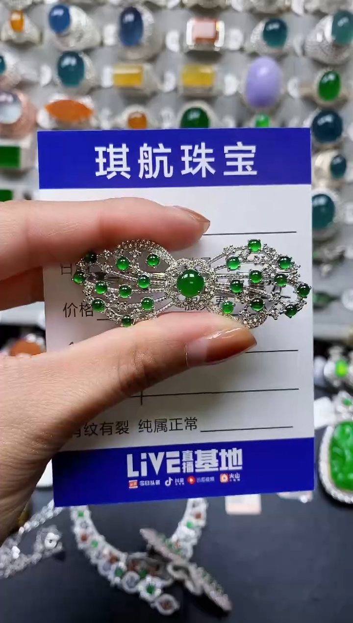 【闪购商品】翡翠颈饰银S925镶嵌0619