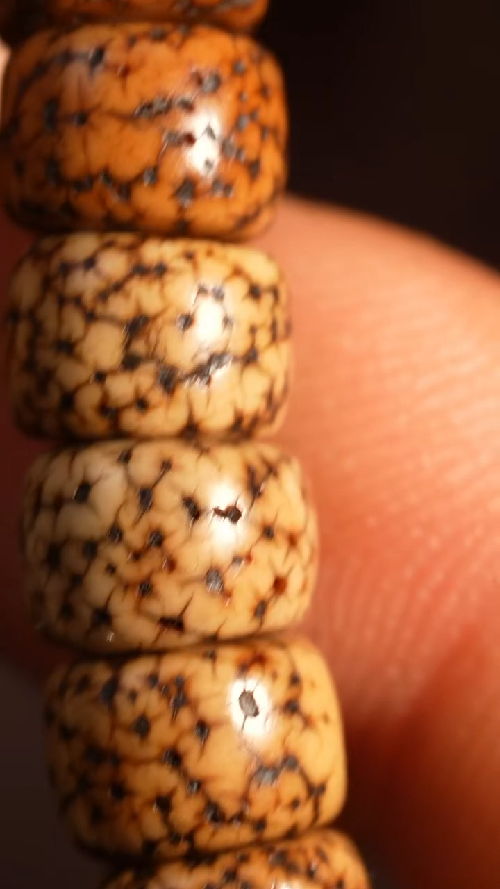 冲赛康胡子哥，藏传念珠111