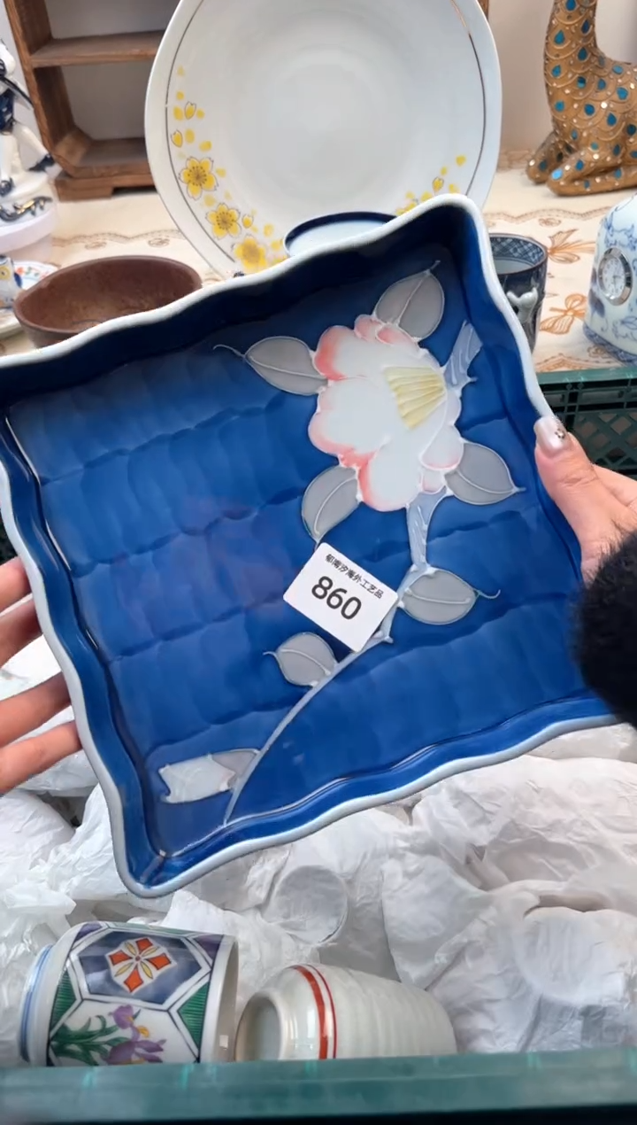 【闪购商品】瓷片Z           860