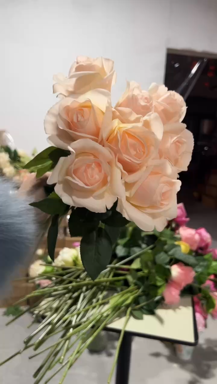 10枝香槟色手感保湿贝拉