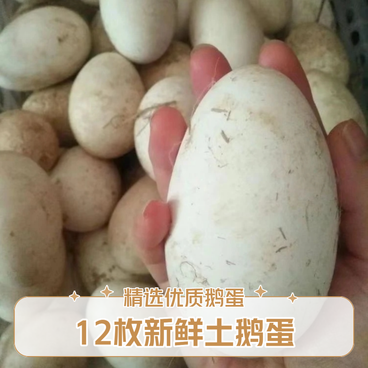 S拍6枚送6枚新鲜鹅蛋农家土鹅蛋坏蛋包赔谷物喂养到手12枚