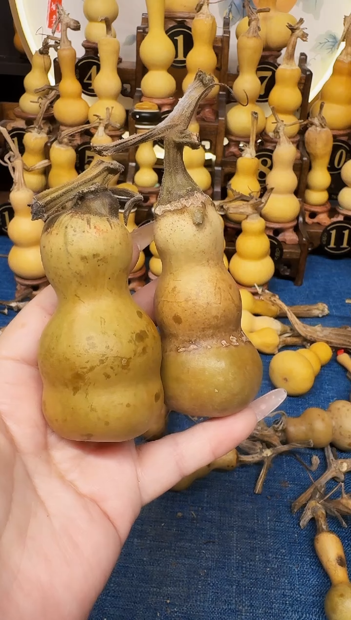 江***水高端葫芦高端客户