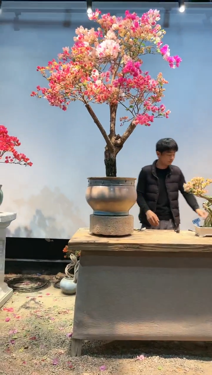 【闪购商品】aa913