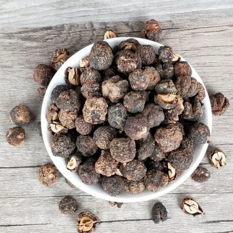 高山高海拔珍藏沉香果 250克 郑晰补贴专属 非百合