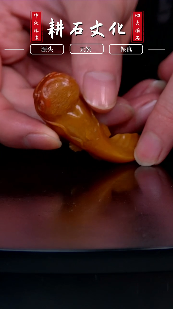 【闪购商品】老挝石北黄麦芽黄鲶鱼手捻2.2*6.1*1.1