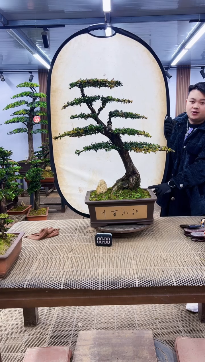 【闪购商品】0000000000