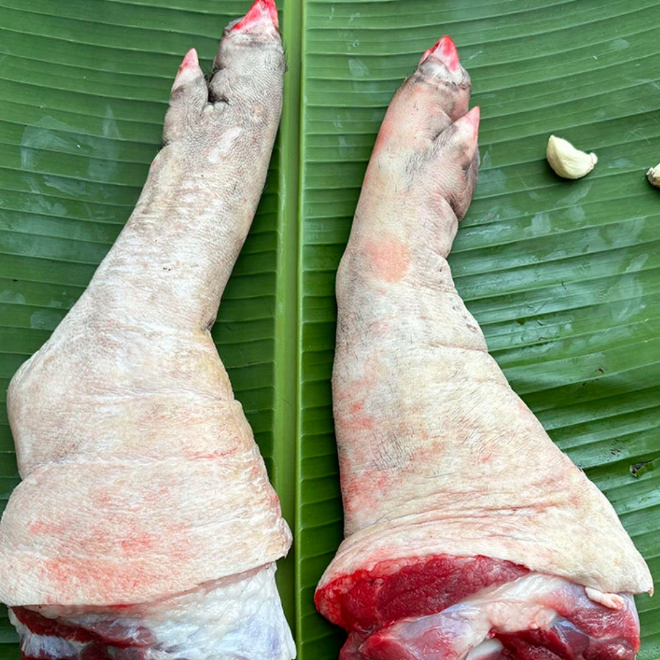 正宗农村土黑猪前脚带膀蹄
