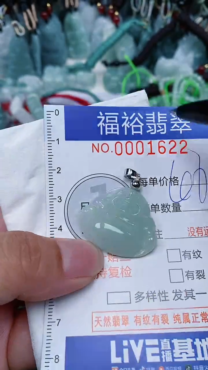 翡翠未镶嵌颈饰...0001622