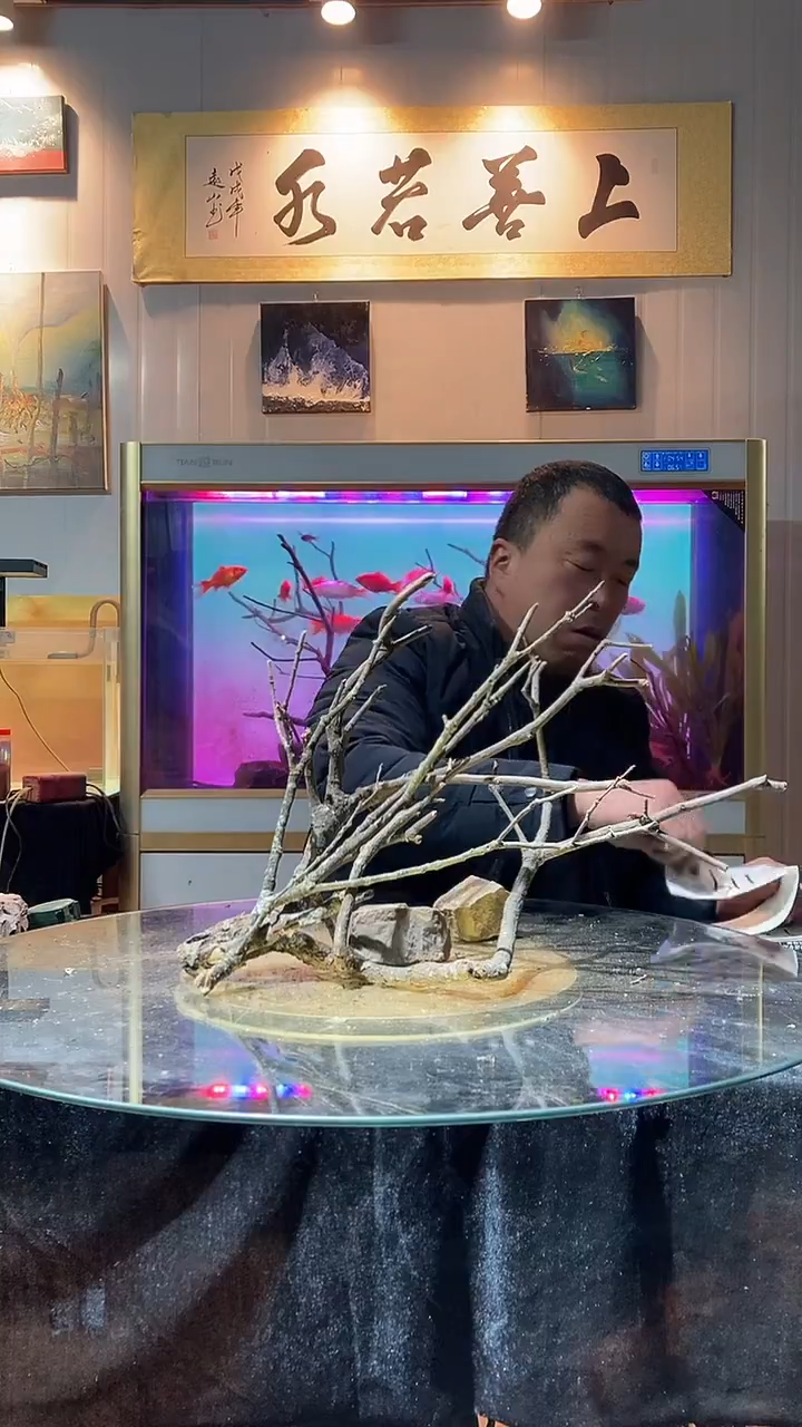 119号天然黄栎木一组适合50缸