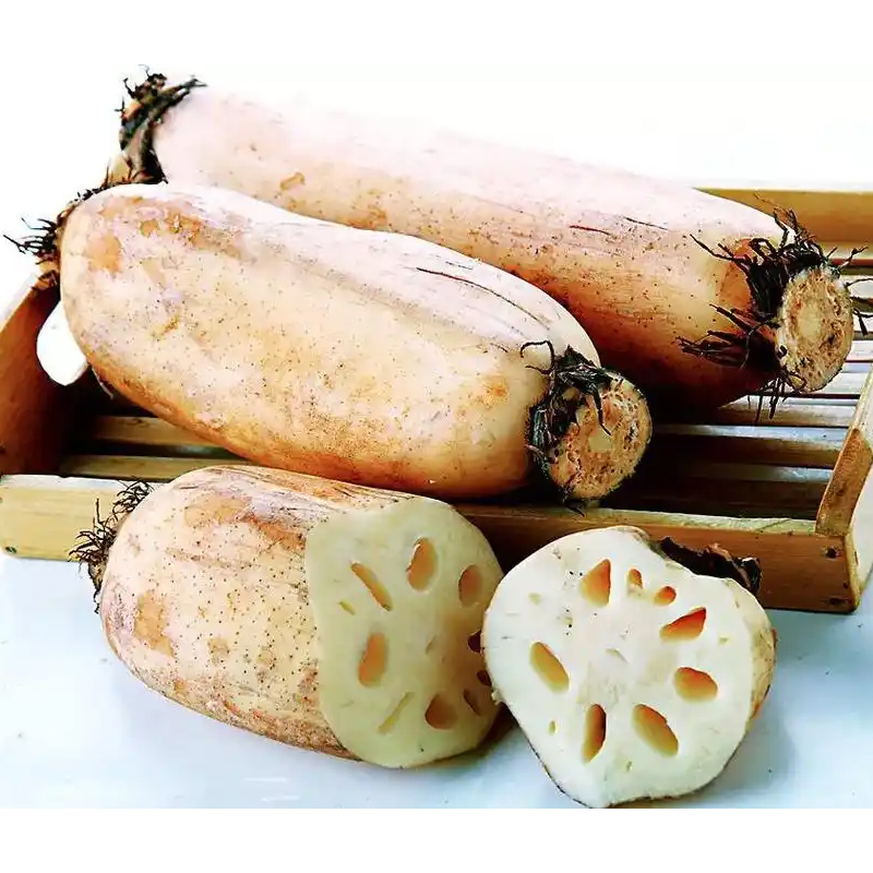 【新鲜】藕约600g±50g/份
