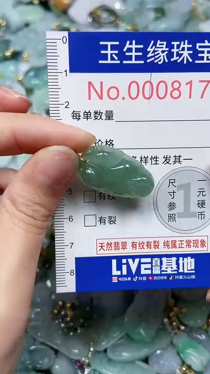 【闪购商品】翡翠颈饰未镶嵌闪购00008172