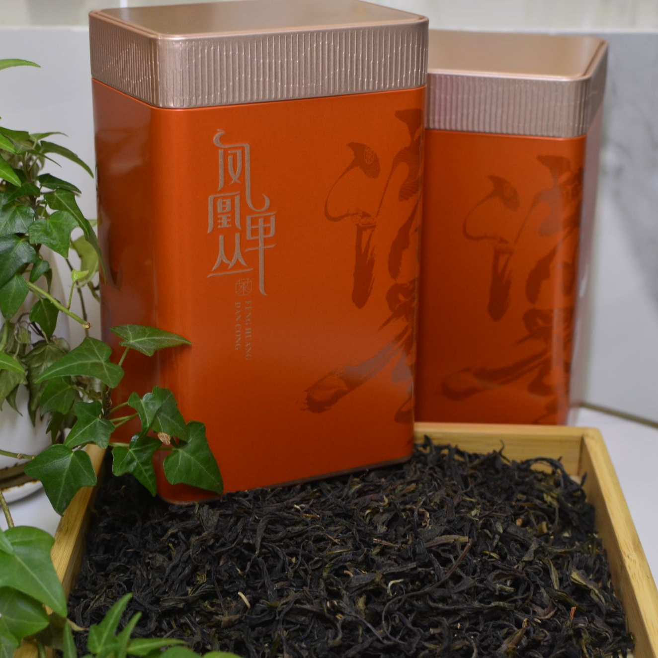 潮州单丛茶凤凰单枞蜜兰香香清香型乌龙茶礼品茶潮汕茶叶特产