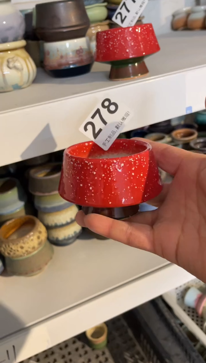 瓷片小*278小芳直播编号