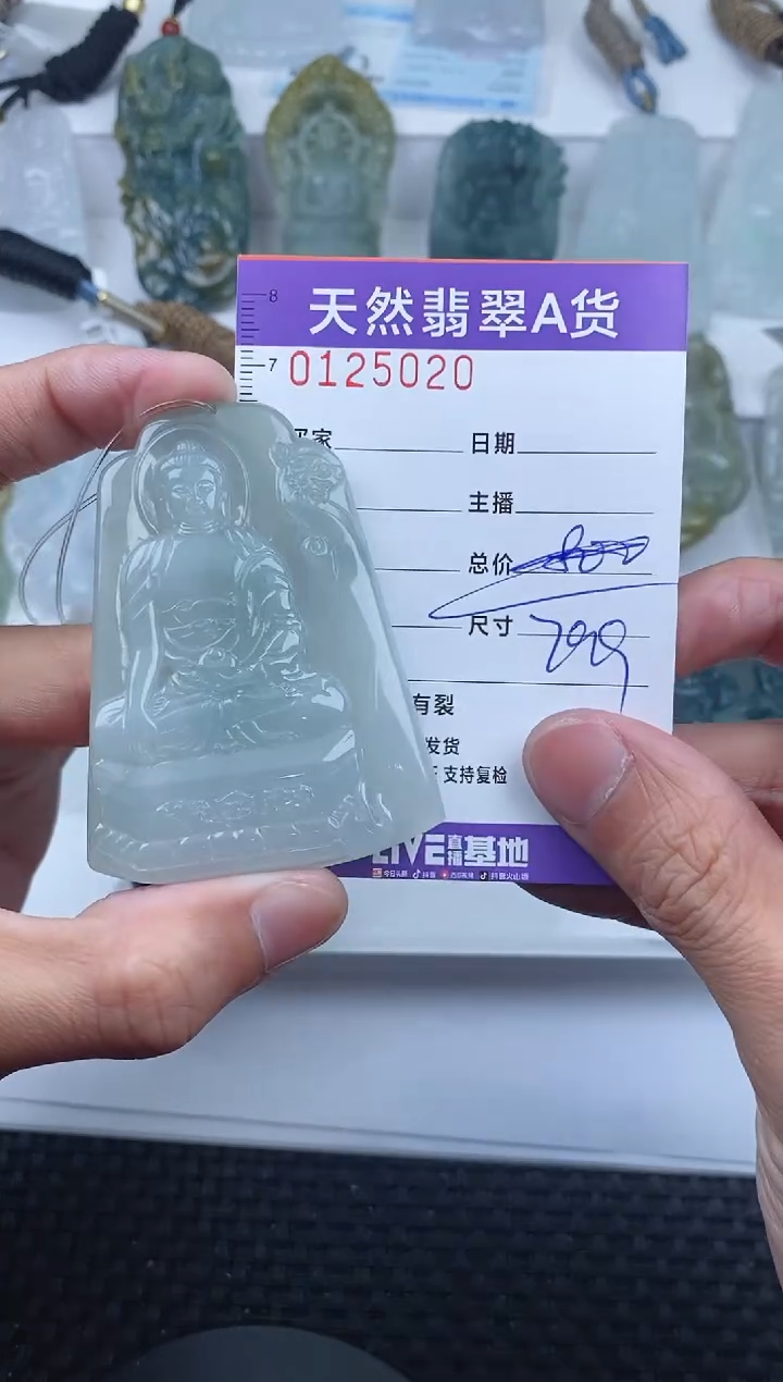 【闪购商品】翡翠颈饰未镶嵌       020