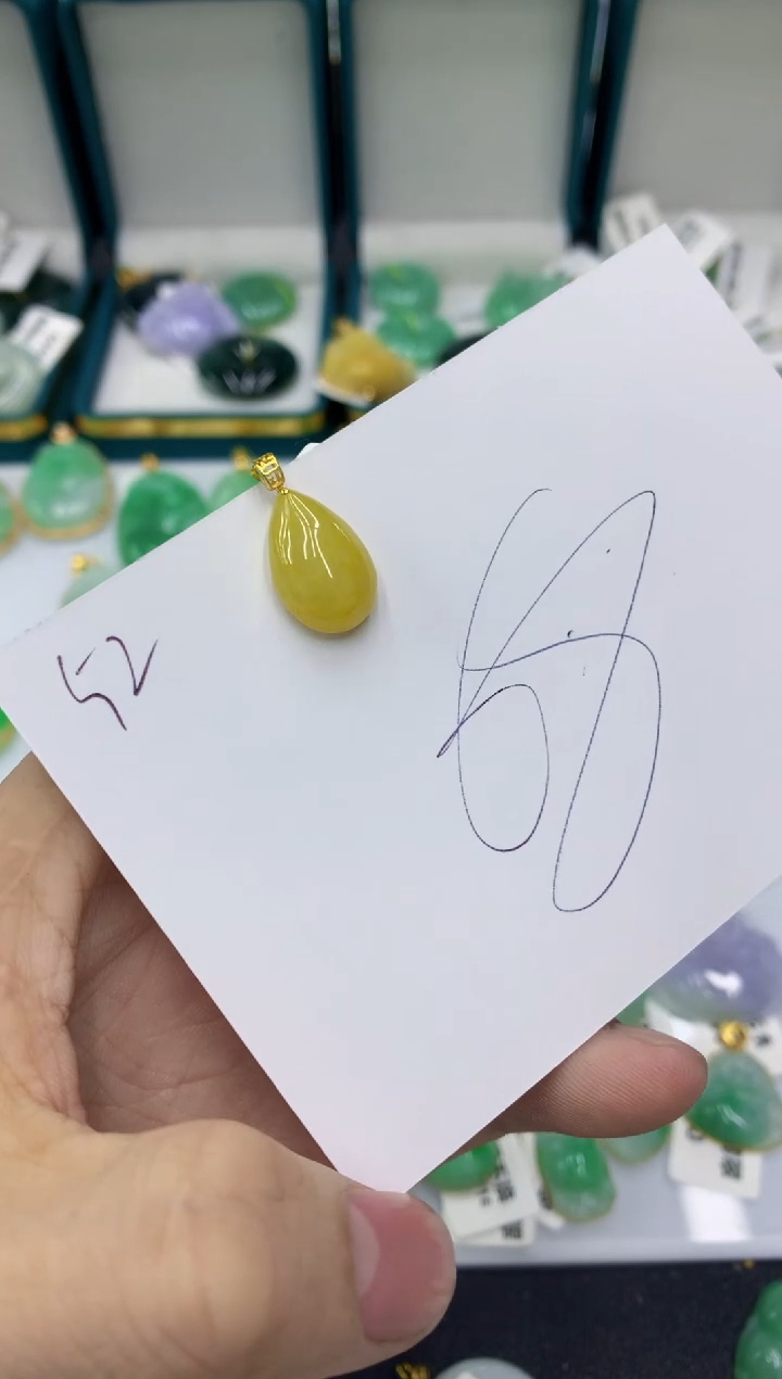 【闪购商品】翡翠颈饰18K金镶嵌11111111111